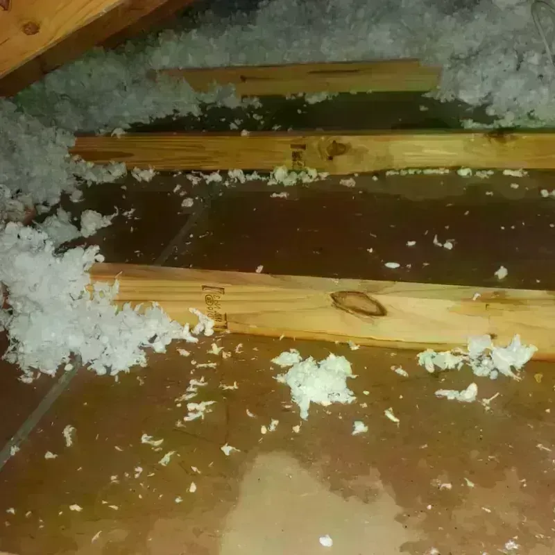 Attic Water Damage in Berkeley, MO