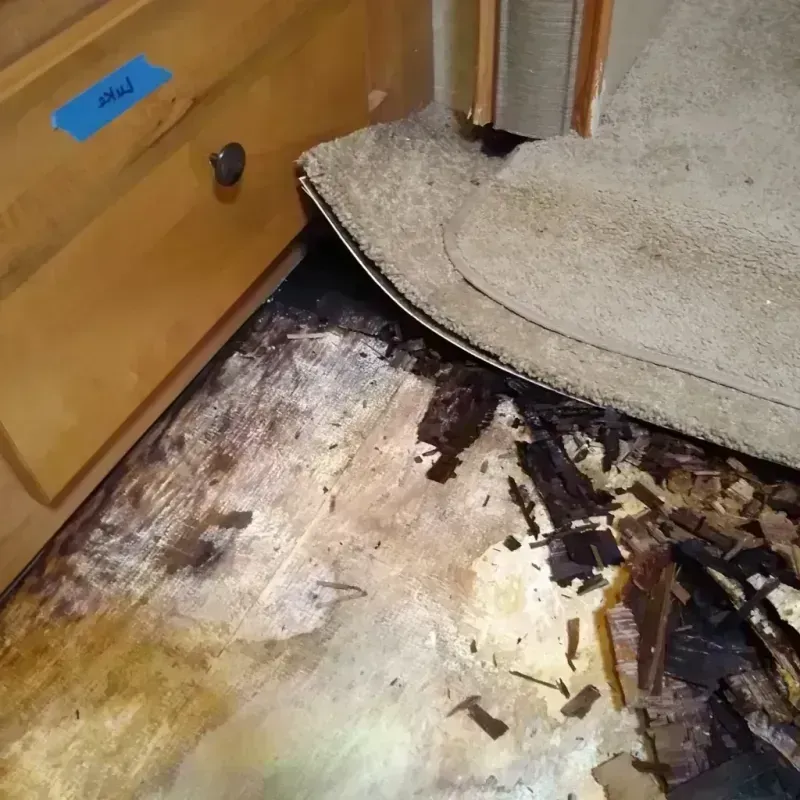 Best Wood Floor Water Damage Service in Berkeley, MO